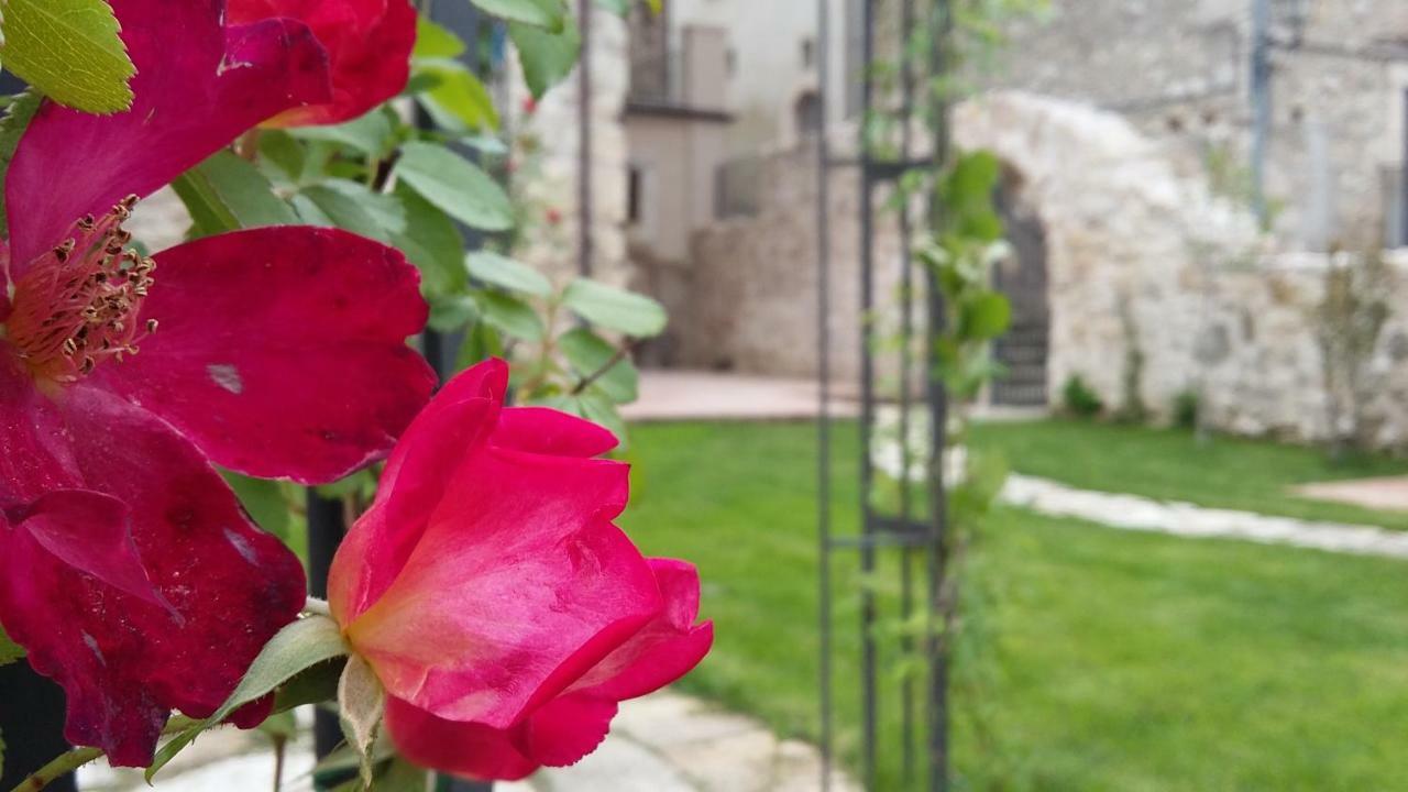 Alloggi Agrituristici Antica Dimora Villa San Demetrio ne' Vestini ภายนอก รูปภาพ